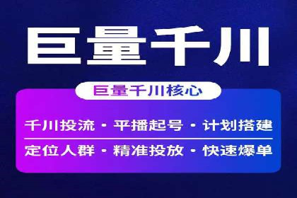 案例对比：不同竞价广告平台的优劣